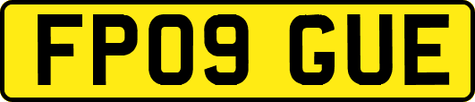 FP09GUE