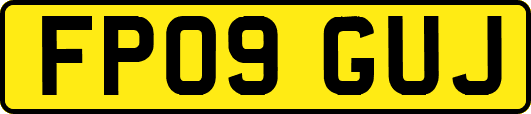 FP09GUJ