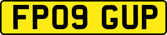 FP09GUP