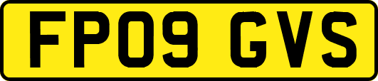 FP09GVS