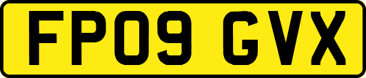FP09GVX