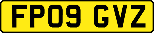 FP09GVZ