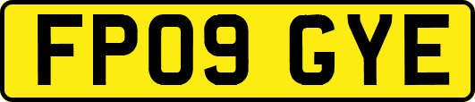 FP09GYE
