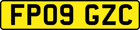 FP09GZC