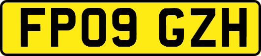 FP09GZH