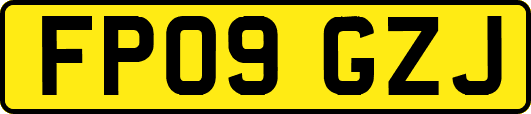 FP09GZJ
