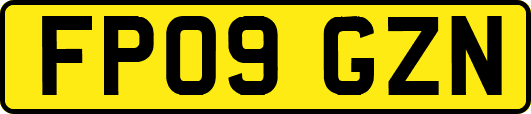 FP09GZN