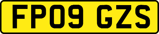 FP09GZS