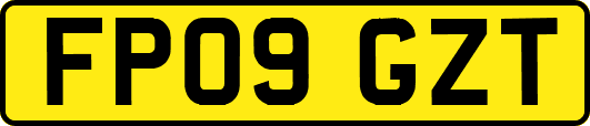 FP09GZT