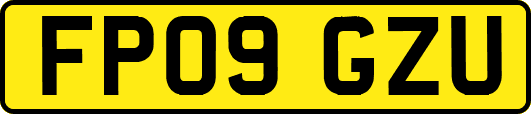 FP09GZU