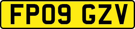 FP09GZV