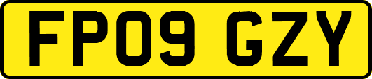 FP09GZY