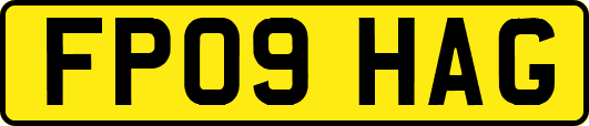 FP09HAG