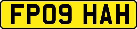 FP09HAH