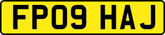 FP09HAJ