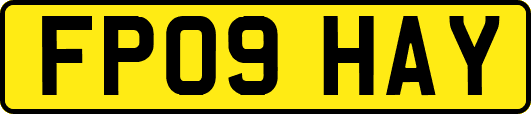 FP09HAY