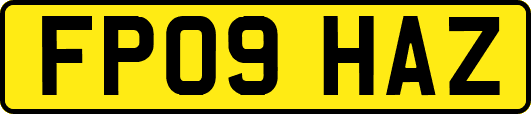 FP09HAZ