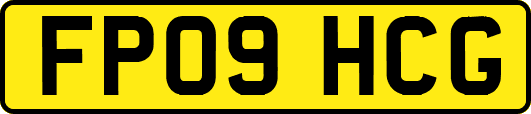 FP09HCG