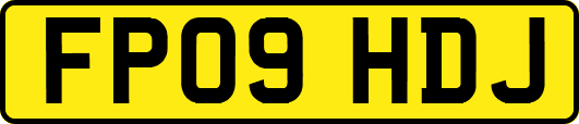 FP09HDJ