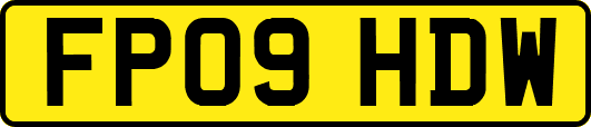 FP09HDW