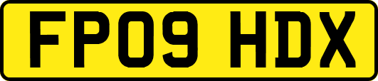 FP09HDX