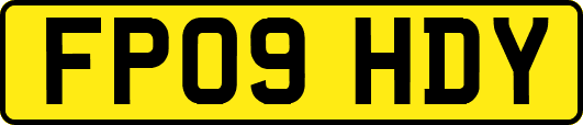 FP09HDY