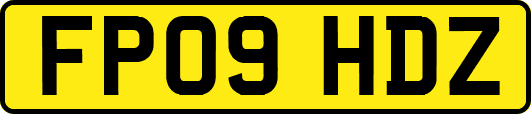 FP09HDZ