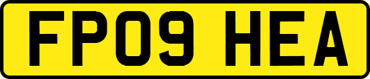 FP09HEA