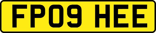 FP09HEE