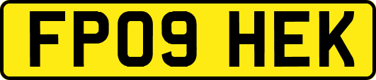 FP09HEK
