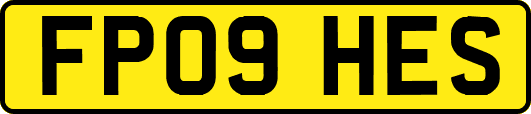 FP09HES