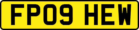 FP09HEW