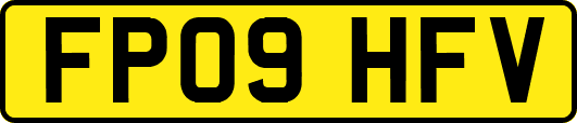 FP09HFV
