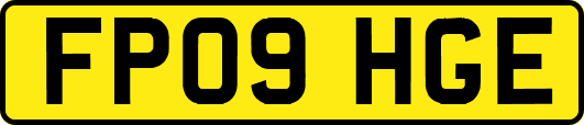 FP09HGE