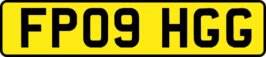 FP09HGG