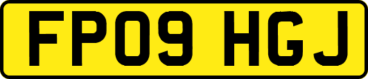 FP09HGJ