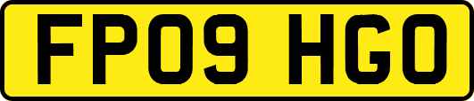 FP09HGO