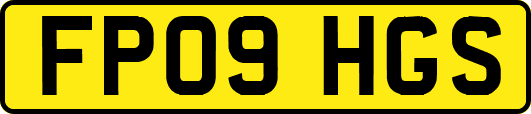 FP09HGS