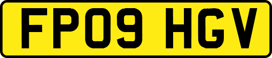 FP09HGV