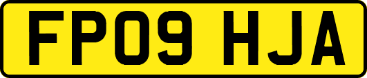 FP09HJA