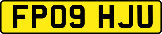 FP09HJU