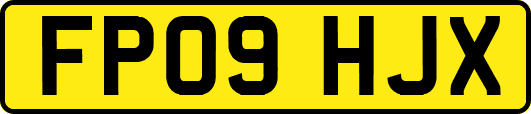 FP09HJX