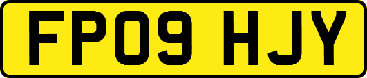 FP09HJY