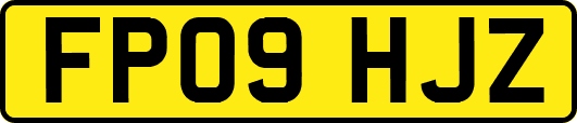 FP09HJZ