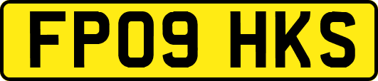 FP09HKS