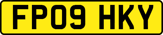 FP09HKY