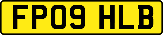 FP09HLB