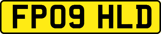 FP09HLD