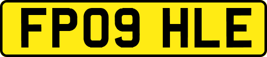 FP09HLE