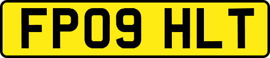 FP09HLT